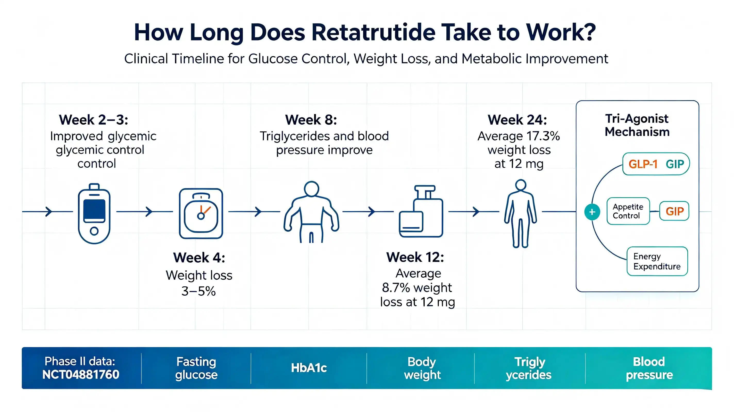 How long does retatrutide take to work